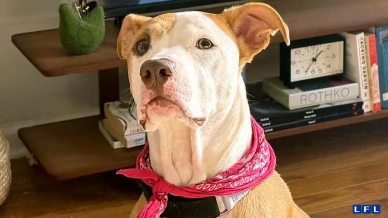 84372c00-ca2e-11f0-8509-37d18cd138a9