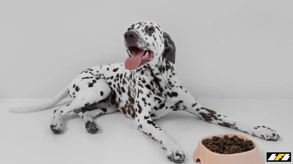 avanco-moderado-marca-ano-de-maturidade-do-setor-de-pet-food-1200x675