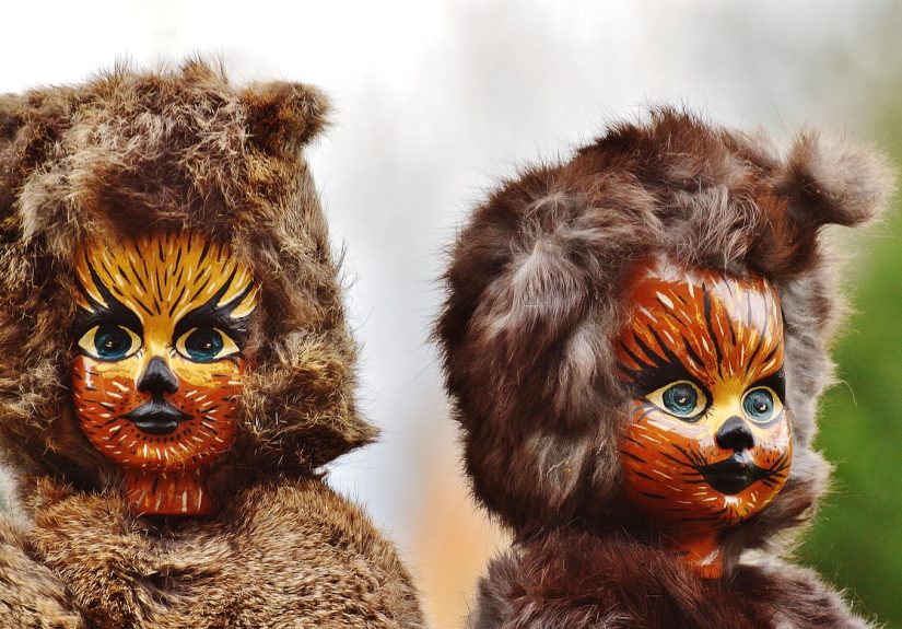 Behind The Scenes How Celebrities Care For Their Exotic Pets