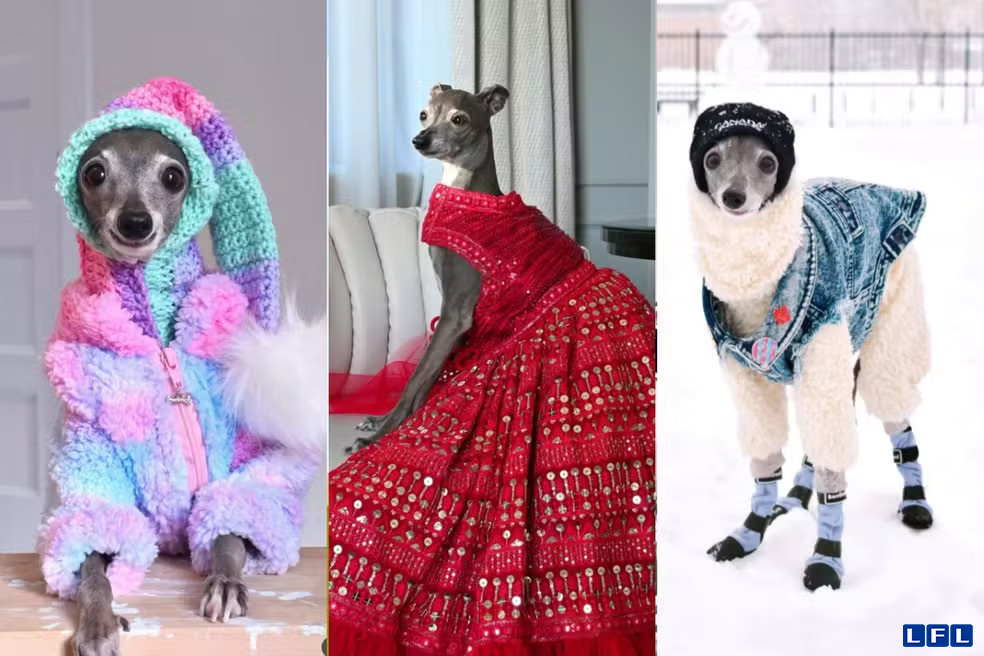 sem-nome-5443-x-3629-px-2-