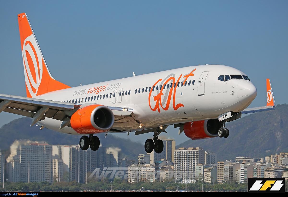 Dog and cat with their human family in a Brazilian park, symbolizing pet welfare and urban life in Brazil.